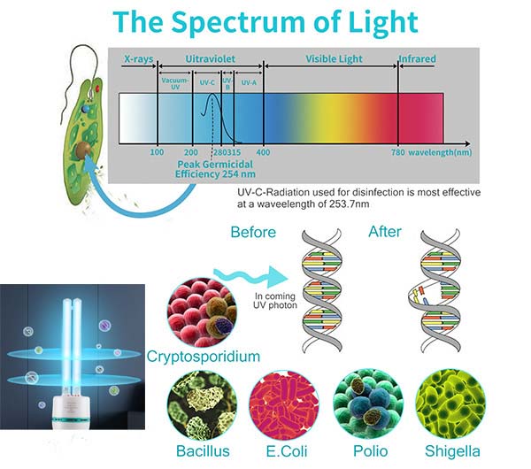 Smart UVC Sterilization Lamps Selling Point